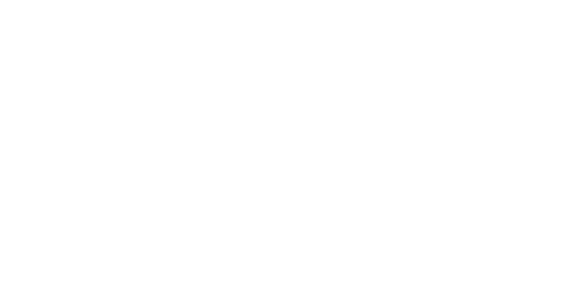 PORSCHE-DESIGN